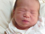 img0084.jpg