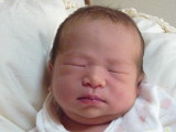 img0085.jpg