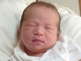 img0086.jpg