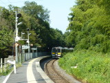 img0094.jpg