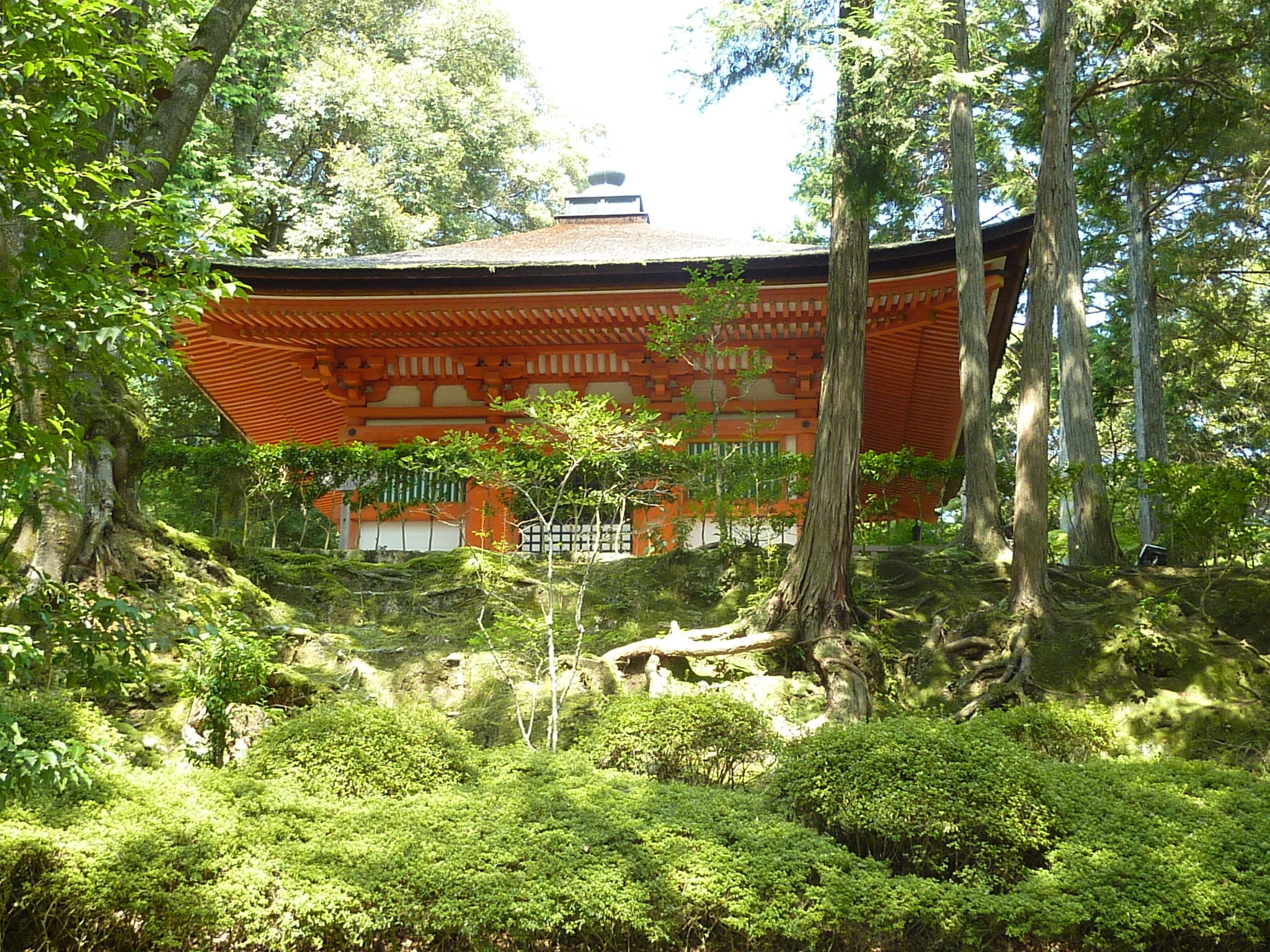 P1060350.JPG