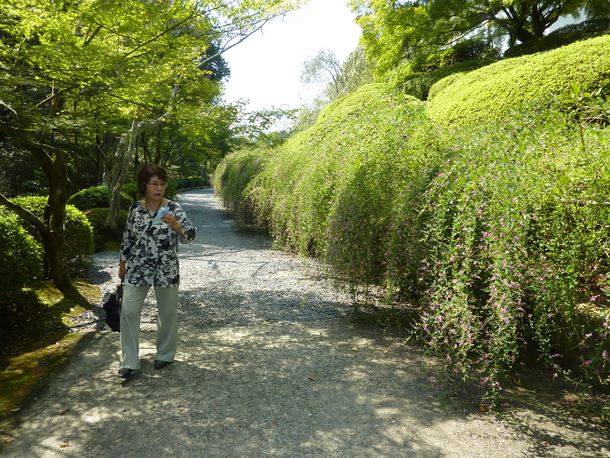P1060354.JPG