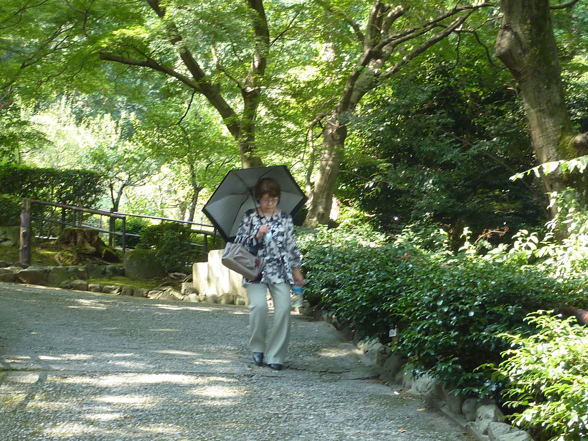 P1060356.JPG