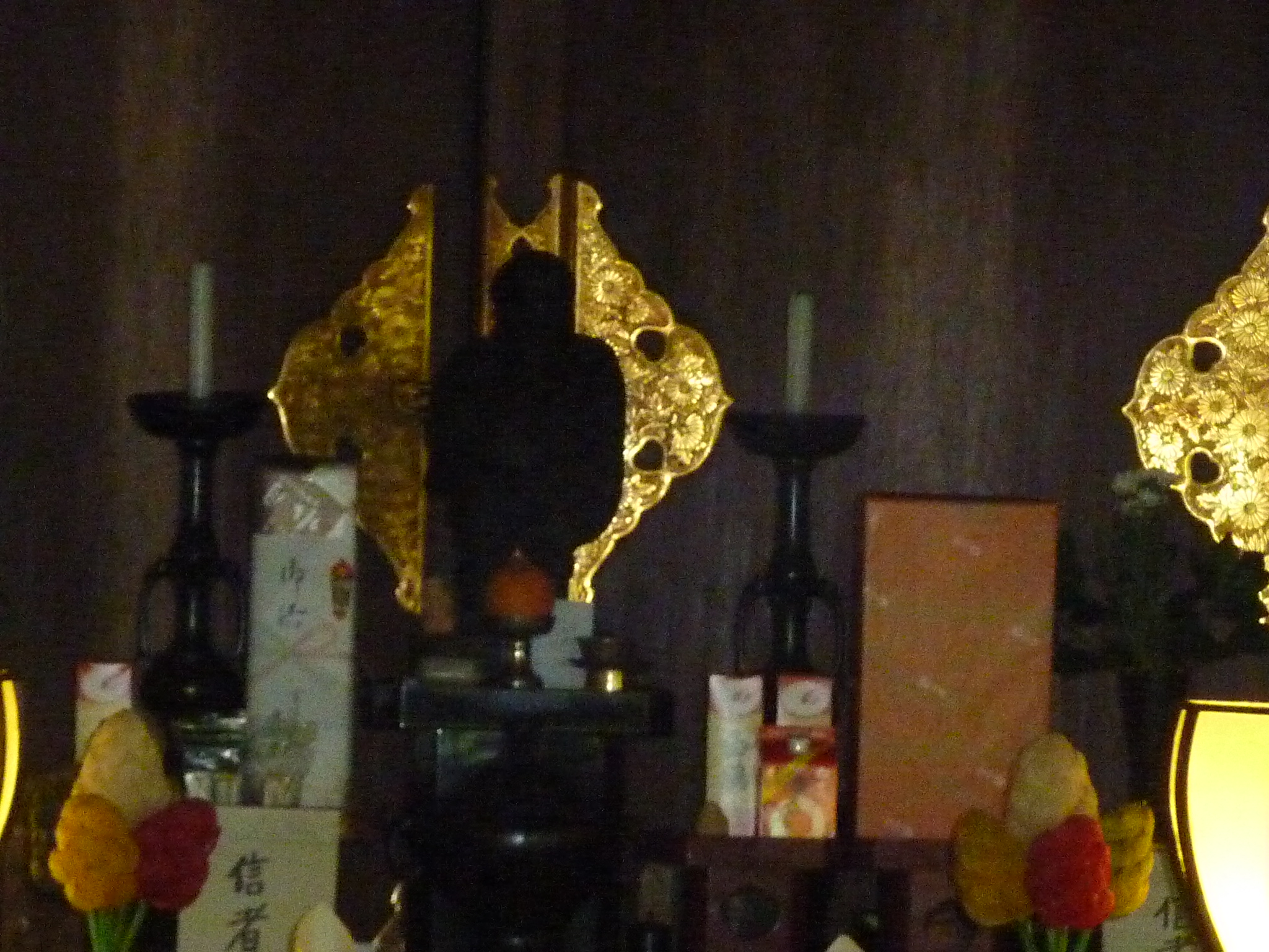 P1060361.JPG
