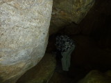 img0027.jpg