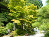 img0054.jpg