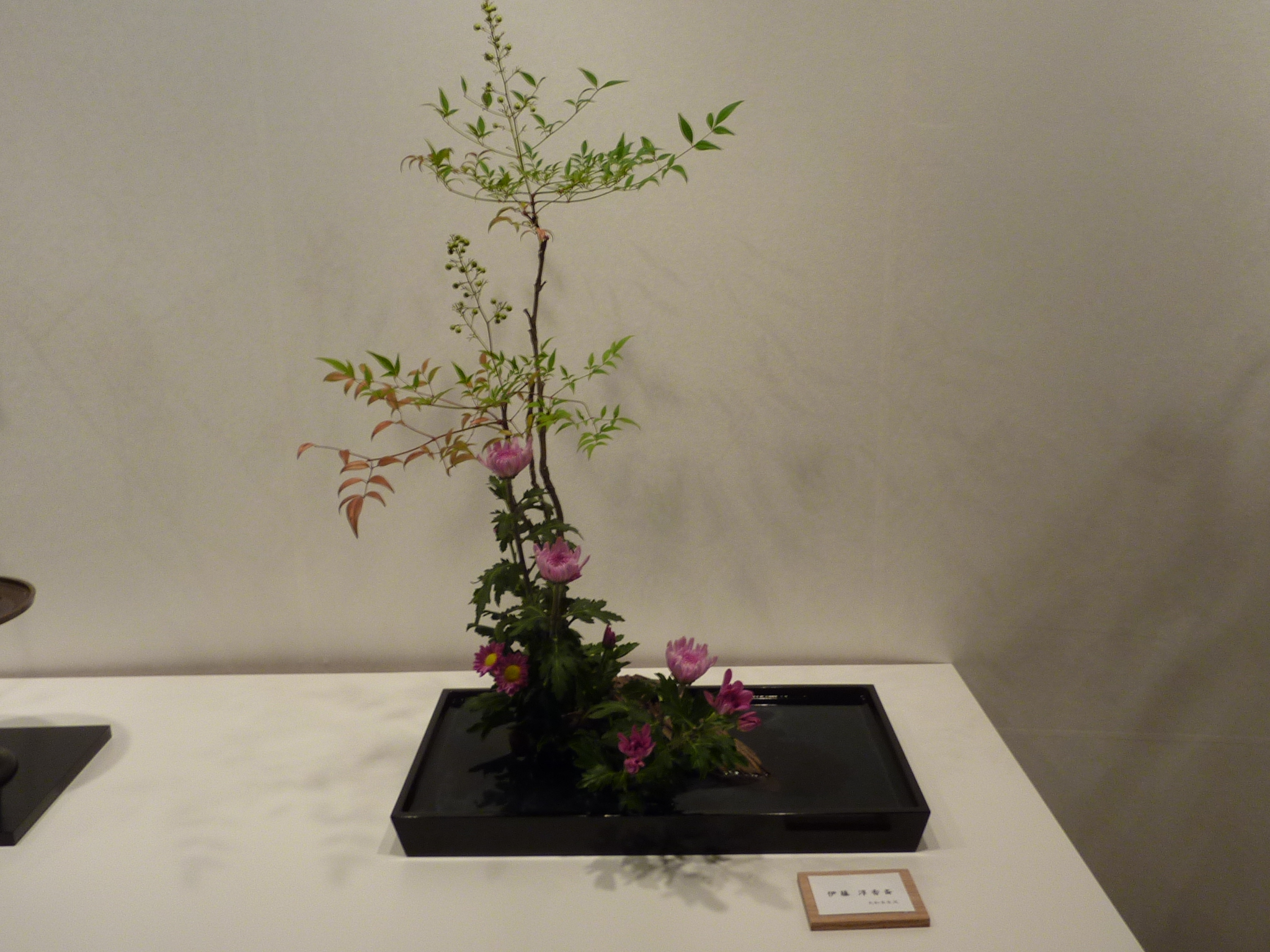 P1060416.JPG