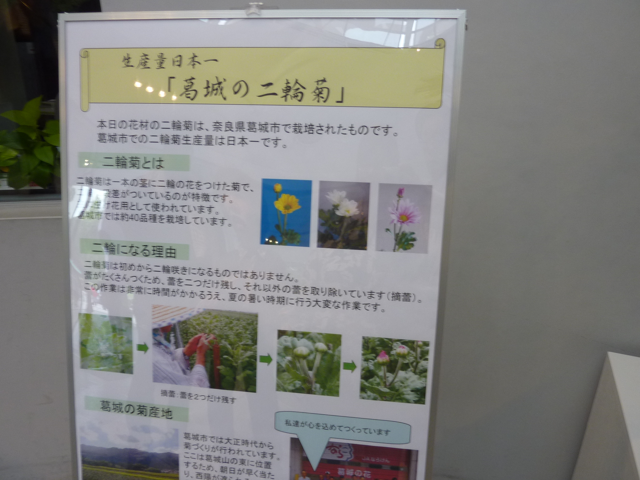 P1060423.JPG