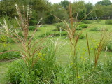 img0016.jpg