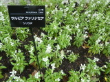 img0018.jpg