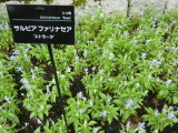 img0019.jpg