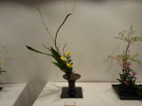 img0026.jpg