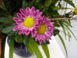 img0032.jpg