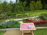 img0050.jpg