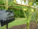 img0053.jpg