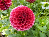 img0058.jpg