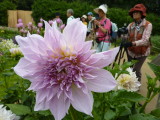 img0061.jpg
