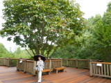 img0064.jpg
