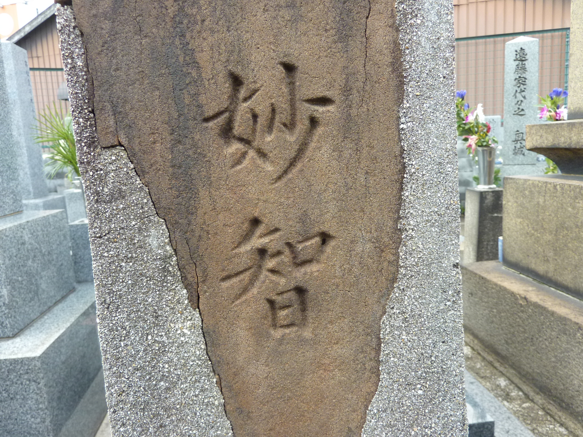 P1060587.JPG