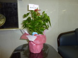 img0001.jpg