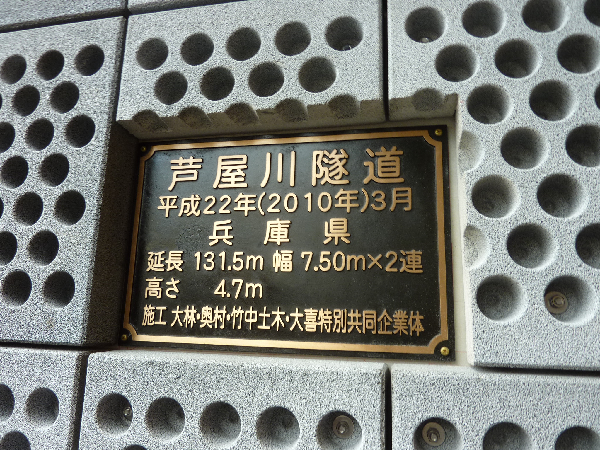 P1060987.JPG