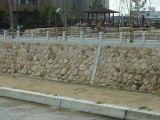 img0036.jpg