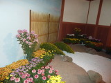 img0078.jpg