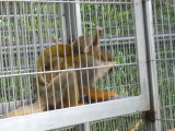 img0096.jpg