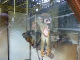 img0097.jpg