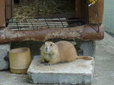 img0099.jpg