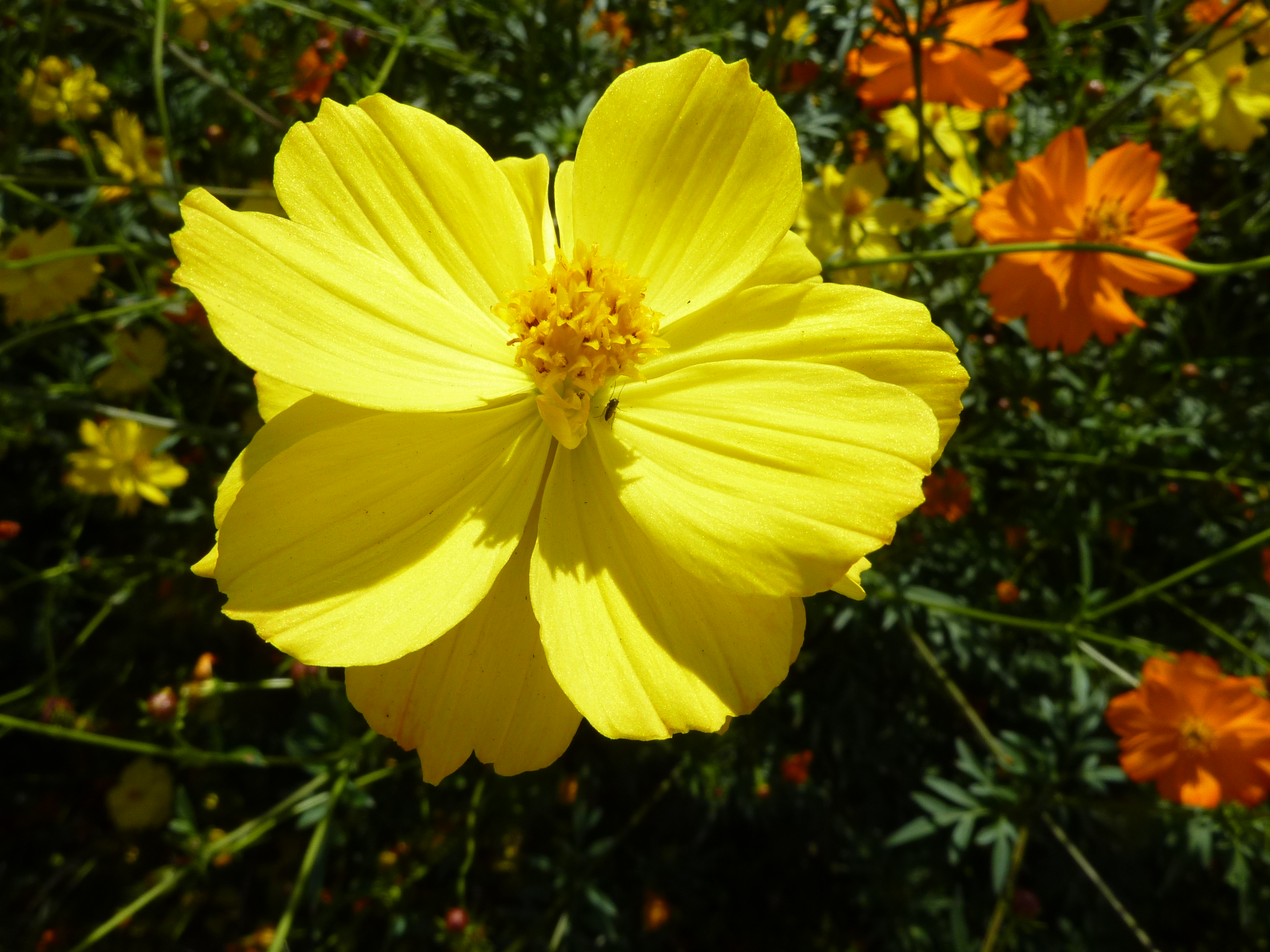 P1070069.JPG