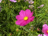 img0007.jpg
