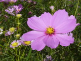 img0009.jpg