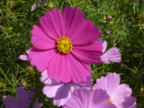 img0012.jpg