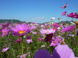 img0014.jpg