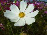 img0020.jpg