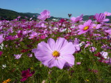 img0021.jpg