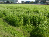 img0028.jpg
