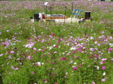 img0030.jpg