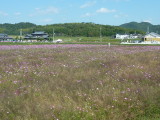 img0031.jpg