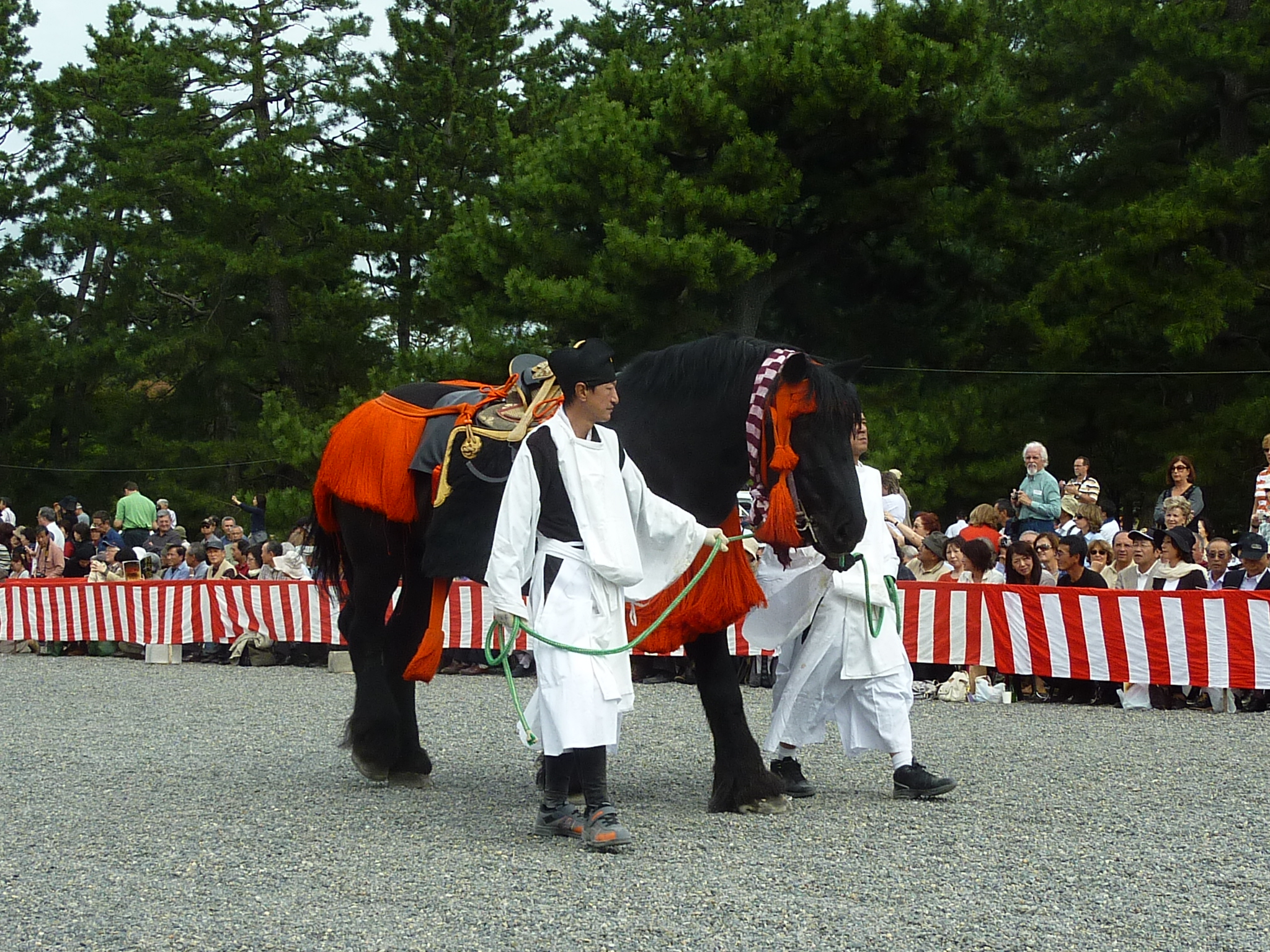 P1070200.JPG