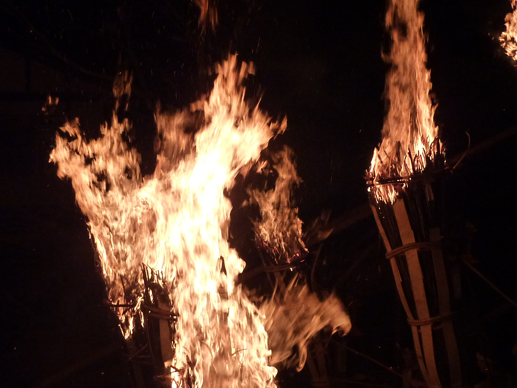 P1070567.JPG