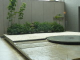 img0007.jpg