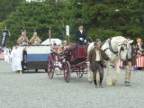 img0154.jpg