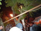img0339.jpg