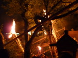 img0342.jpg