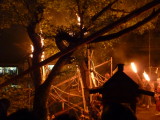 img0344.jpg