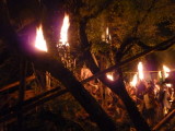 img0353.jpg