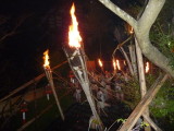 img0356.jpg