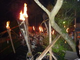 img0357.jpg